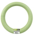 thumbnail image 1 of Charmed Green Foam Floral Rings, 10 in., 1 of 2