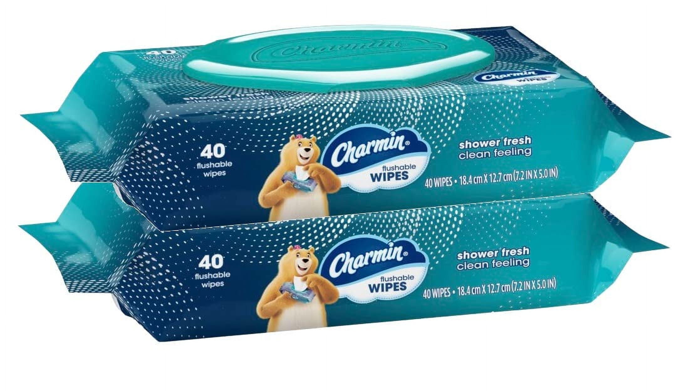 Charmin Freshmates Flushable Wipes With Refillable Tub (Pack Of 2