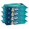 thumbnail image 1 of Charmin Freshmates Flushable Wipes With Refillable Tub (Pack Of 4), 1 of 3