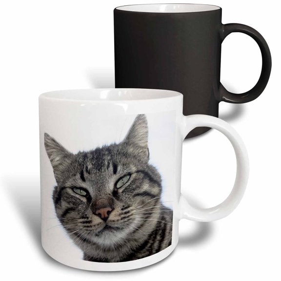 3drose, Charming Brown Tabby Cat Photo Portrait, 11oz Magic Transforming Mug