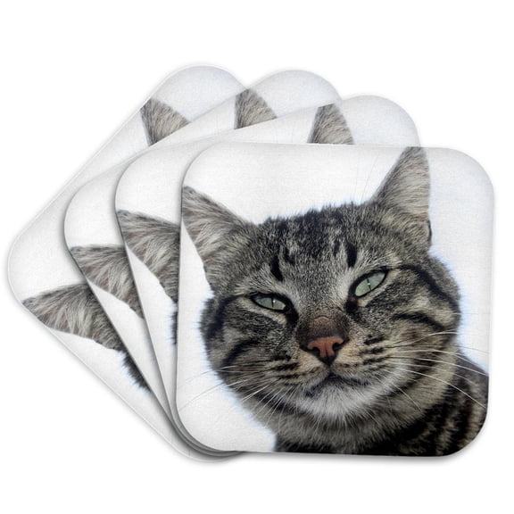 3drose, Charming Brown Tabby Cat Photo Portrait, Set of 4 Coasters - Soft