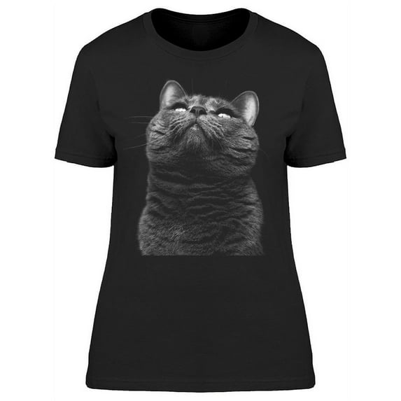 Charming Gray Cat Looking Up T-Shirt Women -Image by Shutterstock, Female XX-Large