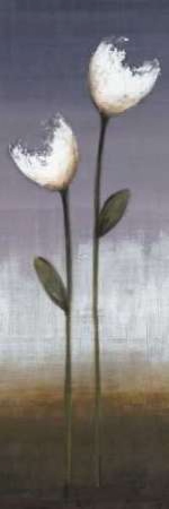 Charming II Canvas Art - EVE (8 x 24)