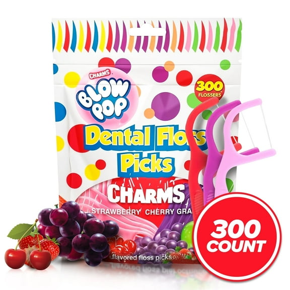 EVERYDAY JOE Dental Floss Picks for Children and Adults, Cherry, Strawberry, Grape Flavored, 300 Count