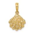 thumbnail image 1 of Charms Collection 14K Textured Oyster Shell Charm, 1 of 4