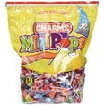 thumbnail image 1 of Charms Mini Lollipops Assorted Fruit Flavor Candy, 300 Count Individually Wrapped Bulk Suckers for Parties, Candy Buffets, Offices, Schools & Everyday Sweet Treats, 1 of 7