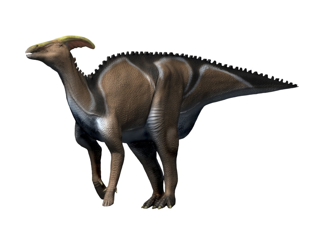 Charonosaurus dinosaur Canvas Art - Nobumichi TamuraStocktrek Images (32 x 24)