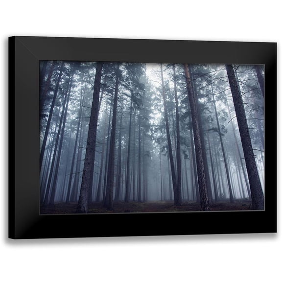 Charouz, David 14x11 Black Modern Framed Museum Art Print Titled - Mysterious Foggy Forest.