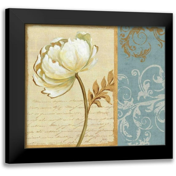 Charron, Veronique 23x20 Black Modern Framed Museum Art Print Titled - White Beauty II