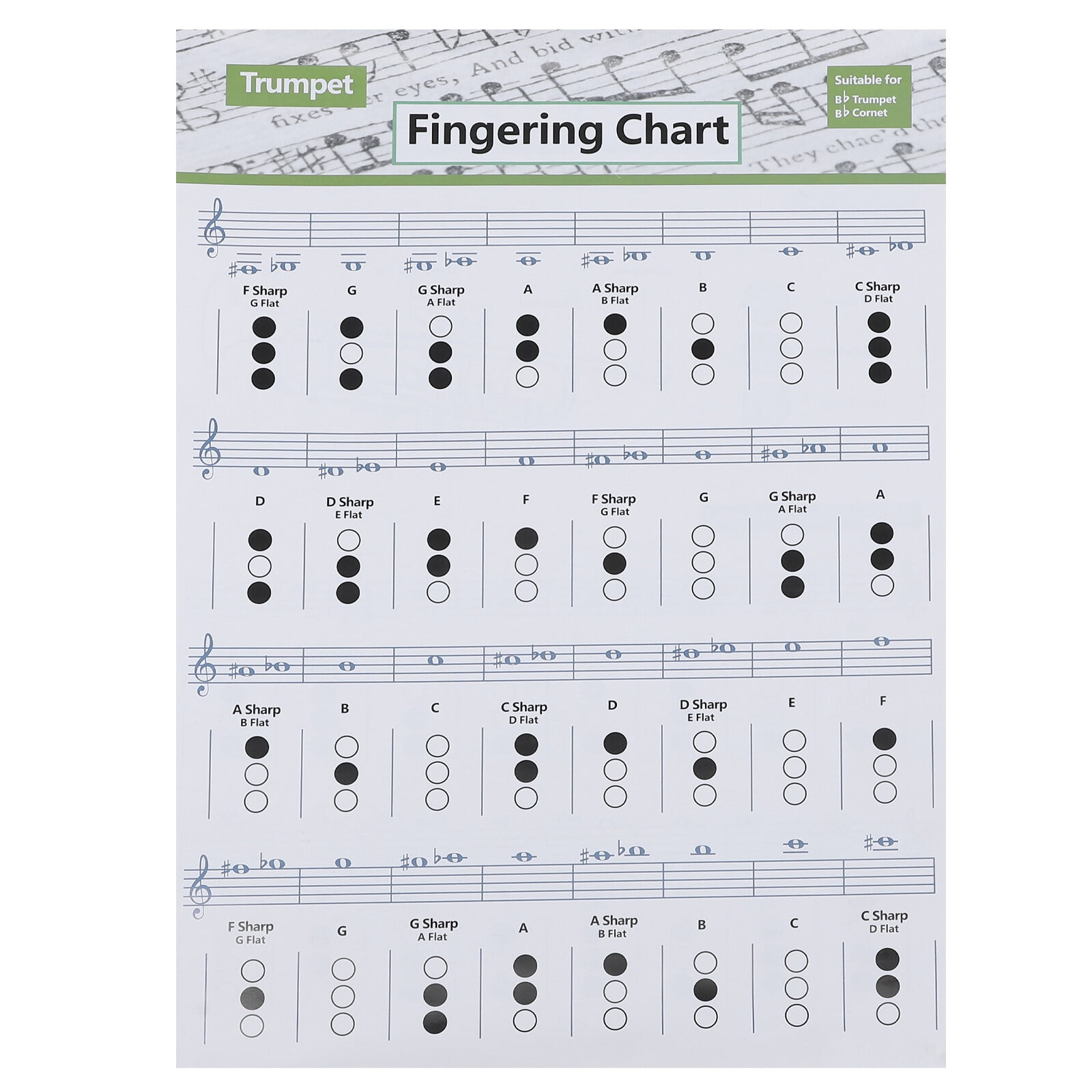 Chart Fingering Guide Poster Chord Guitar Chords Trumpet Beginner Piano