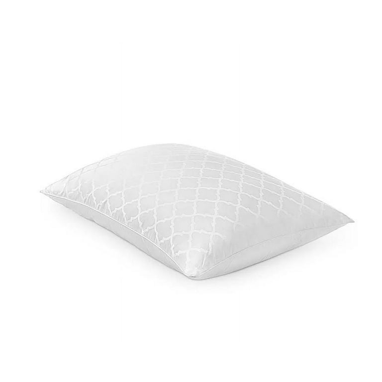 Charter club 2025 soft pillow