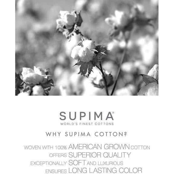 Charter Club Damask Stripe Queen 4 Pieces Sheet Set, 550 Thread Count Supima Cotton Ivory$$Bedding