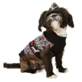 thumbnail image 1 of Charter Club Women's Fair-Isle Dog Family Family Sweater  Black Size Large, 1 of 3