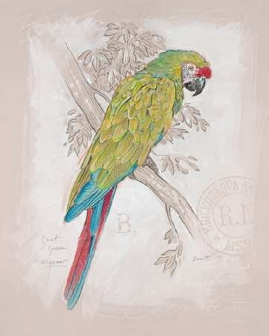 Chartreuse Tropical Canvas Art - Chad Barrett (20 x 24)