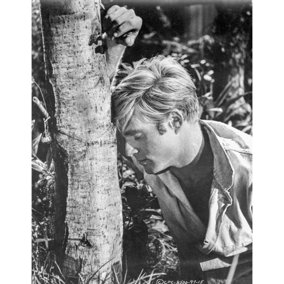 Chase Feeling Wasted in The Tree Photo Print (24 x 30)
