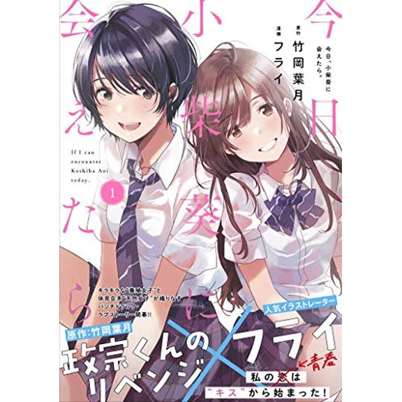 Pre-Owned Chasing After Aoi Koshiba 1 (Paperback) 1646511867 9781646511860