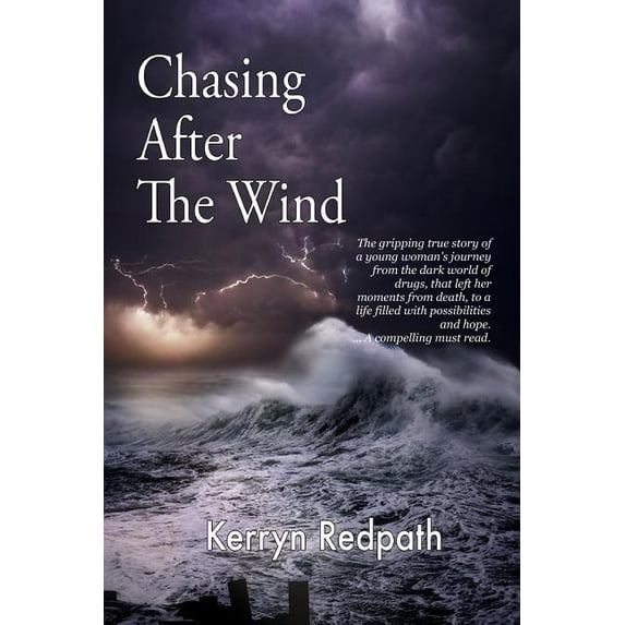 Chasing After the Wind (Paperback)