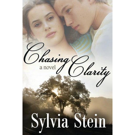 Chasing Clarity (Paperback) by Sylvia Stein