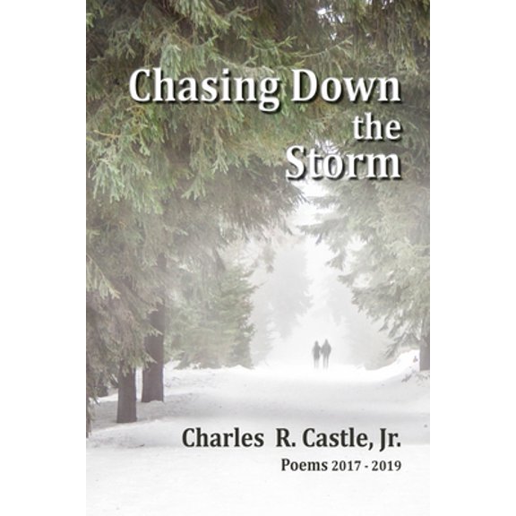 Pre-Owned Chasing Down the Storm (Paperback) 1088457541 9781088457542