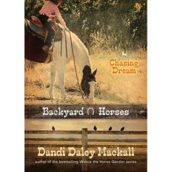 Pre-Owned Chasing Dream (Paperback) 1414339186 9781414339184