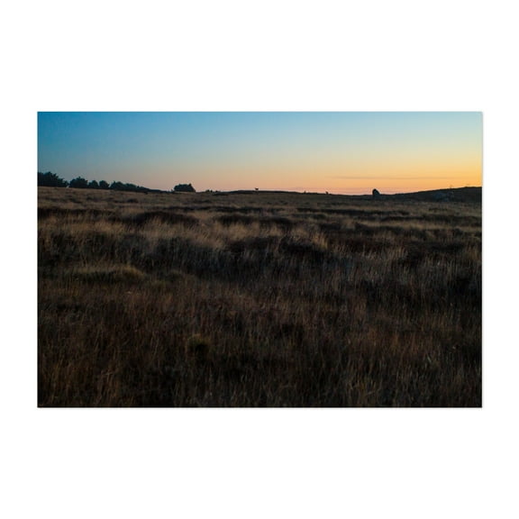 Chasing Sunset In Mendocino - Albion California Photography Sunset Landscape Deer Wilderness Scenic Nature Silhouette Unframed Wall Art Print 4 x 6 inches