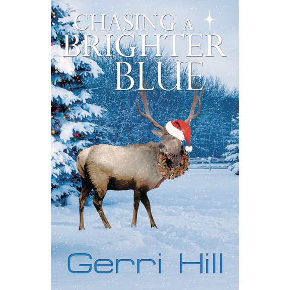 Pre-Owned Chasing a Brighter Blue (Paperback) 159493469X 9781594934698