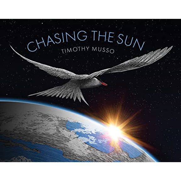 Pre-Owned Chasing the Sun (Hardcover) 1568463898 9781568463896