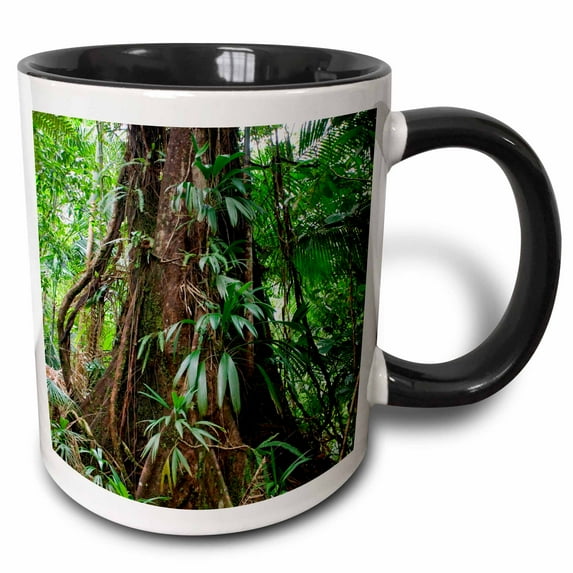 3drose, Chataignier Tree, Dominica, 15oz Two-tone Black Mug