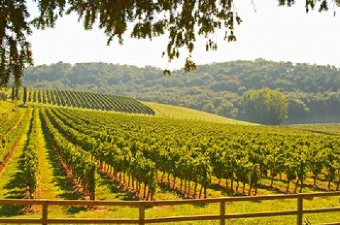 Chateau Carignan Premieres Cotes de Bordeaux France Canvas Art - Per Karlsson DanitaDelimont (28 x 19)