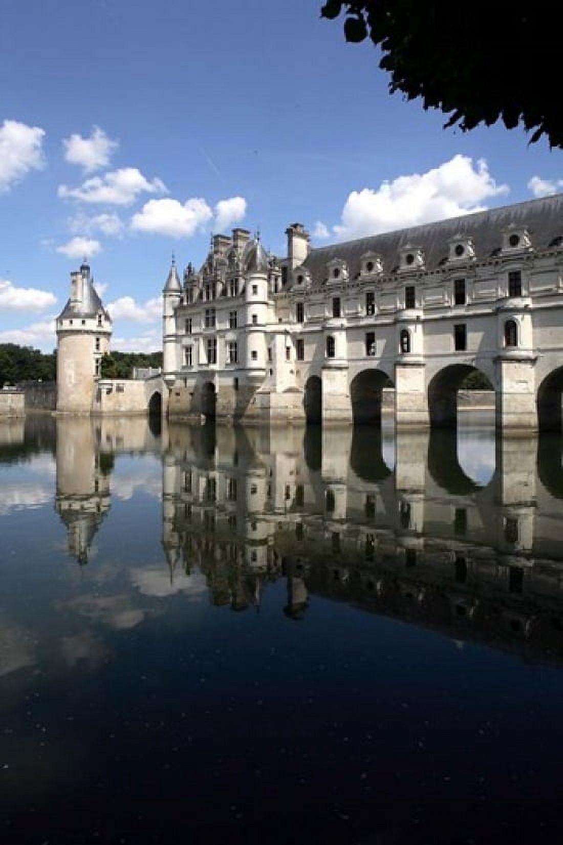 Chateau Chenonceaux Loire Valley France Canvas Art - Bruce Yuanyue Bi DanitaDelimont (19 x 29)