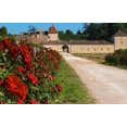 thumbnail image 1 of Chateau Grand Mayne Vineyard and Roses Poster Print by Per Karlsson (28 x 18), 1 of 1