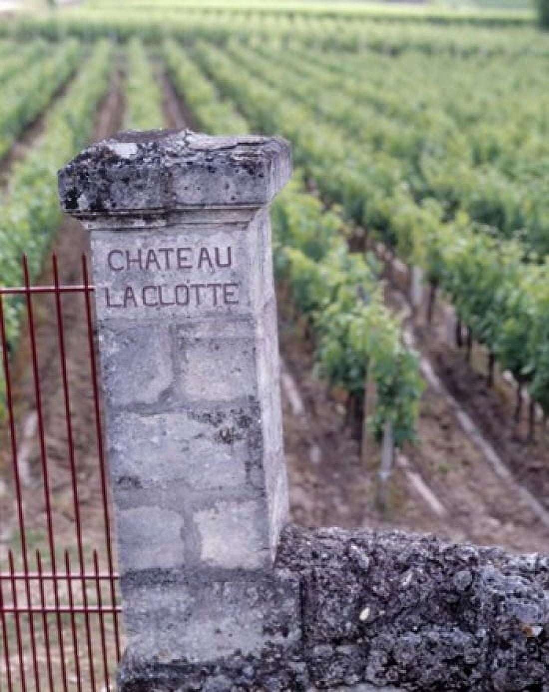 Chateau La Clotte Bordeaux France Canvas Art - Panoramic Images (12 x 16)