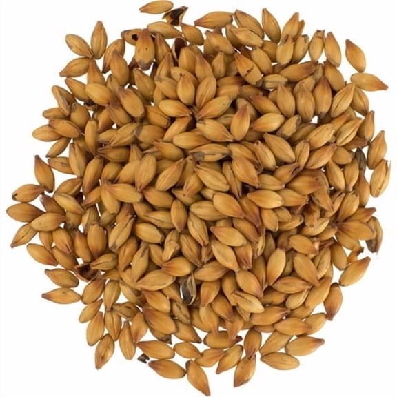 Special B Malt 140L for Belgian Style Beers Extra Dark Caramel Crystal Malted Barley for Brewing (C140) 1 lb Whole Grain