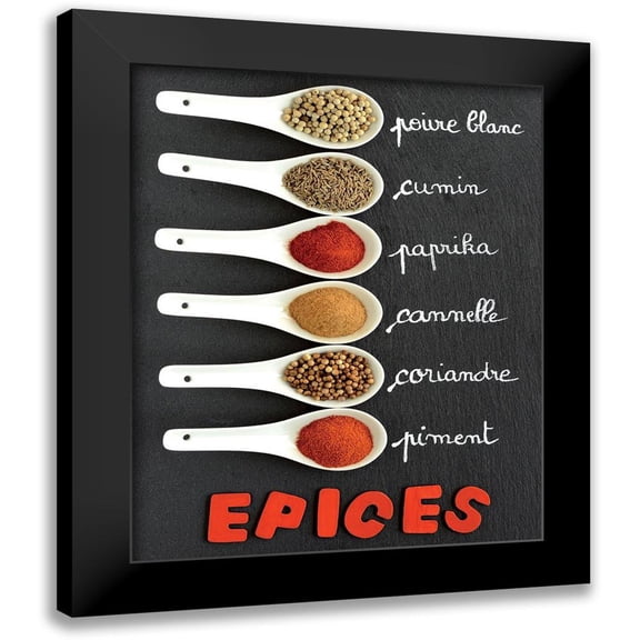 Chatelain, Sonia 12x14 Black Modern Framed Museum Art Print Titled - Spice Cook