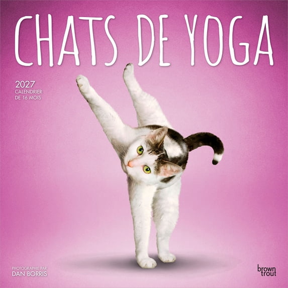 Chats de Yoga OFFICIEL | 2027 12x24" (Hanging) Wall Calendar | French Language