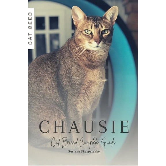 Chausie: Cat Breed Complete Guide (Paperback)