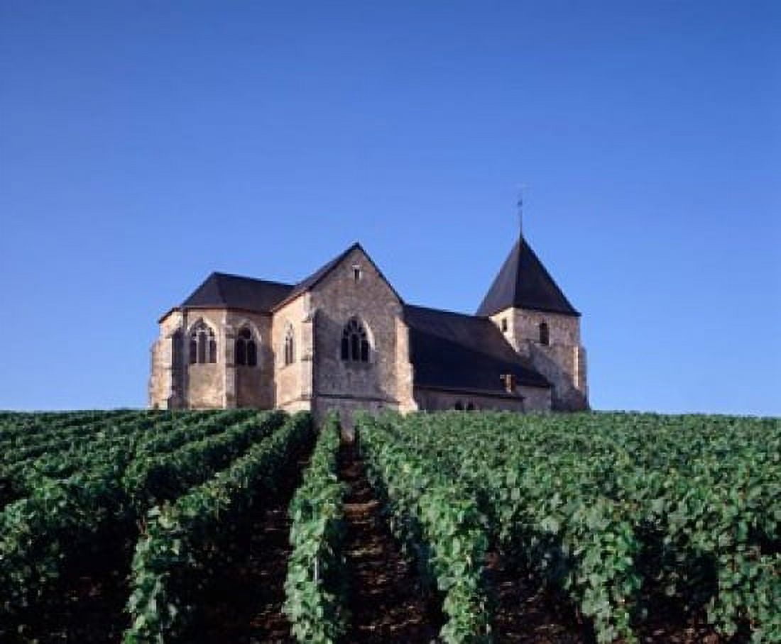 Chavot Church and Vineyards France Canvas Art - Paul Thompson DanitaDelimont (27 x 22)