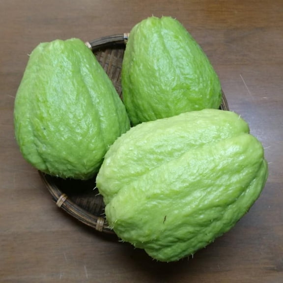 Chayote Squash Plant Live, Chayote Plant, Edible Vegetable Vine Plants, 7 to 9 Inc Tall, Gallon Pot, Outdoor Indoor Garden
