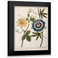 thumbnail image 1 of Chazelles, Laurent 15x18 Black Modern Framed Museum Art Print Titled - Passiflora Caerulea, 1 of 5