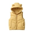 thumbnail image 1 of Chbgutlmr Baby Boy Girl Clothes Hoodies Winter Warm Sleeveless Vests Coat Kid Quilted Tank Tops with Pockets, 1 of 8