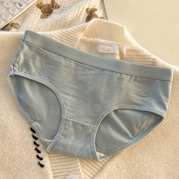 Chbgutlmr Underwear for Women Mid Rise Full Coverage Stretch Panties Comfy Cotton Solid Color Basic Briefs