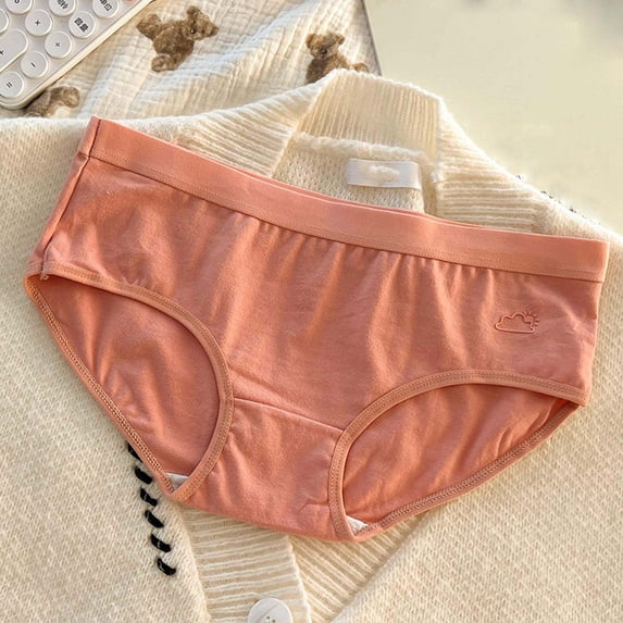 Chbgutlmr Underwear for Women Mid Rise Full Coverage Stretch Panties Comfy Cotton Solid Color Basic Briefs