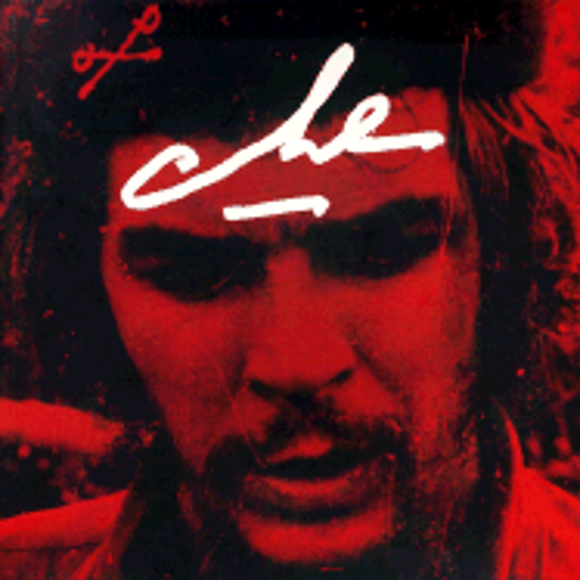 Che: A Photobiography of Che Guevara (Paperback) by Loviny - Walmart.com