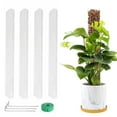 thumbnail image 1 of CheAAlet 4 Pcs 24 inch Plastic Moss Pole for Plants Monstera, Plant Poles for Climbing Plants, Plant Support for indoor Plants Work with Sphagnum Moss Clear, 1 of 6