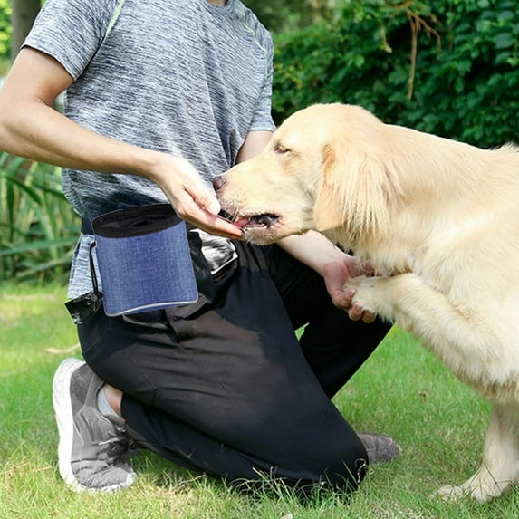 CheAAlet Outdoor Pet Snack Bag - Dog Treat Training Pouch with Efficient Storage, Durable Polyester Fibre, Reflective Tape for Safety, Easy Carry & Multi-Functional Design - Blue