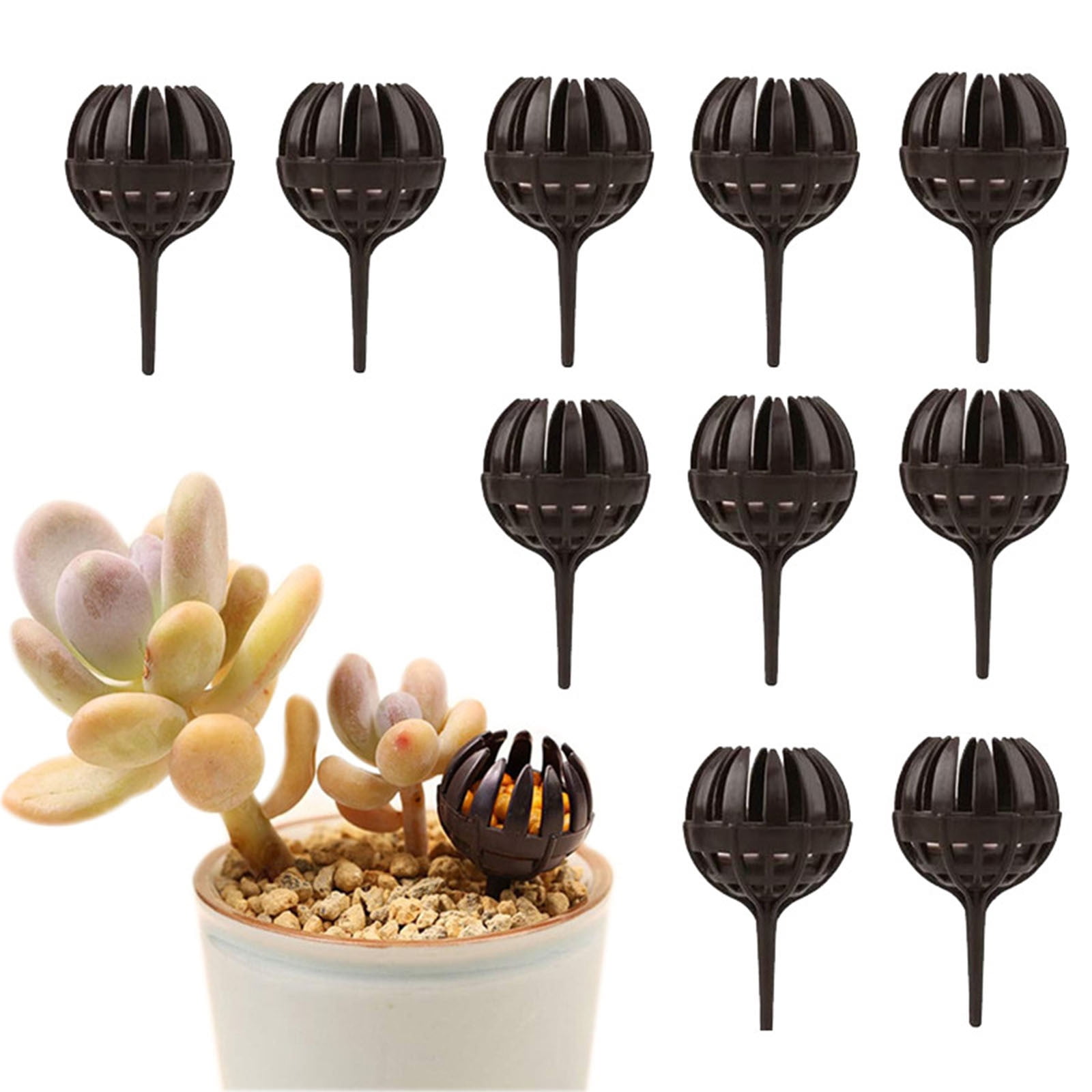 CheAAlet Premium Bonsai Fertilizer Basket with Pointed Tip for Plant