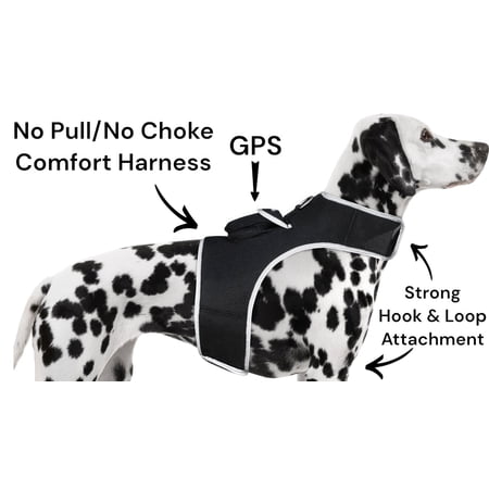 Cheap GSM GPS Animal Tracking Device Portable Realtime Location Finder Size:M
