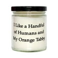 thumbnail image 1 of Cheap Orange Tabby Cat Gifts, I Like a Handful of Humans and My Orange Tabby, Fancy Candle for Cat Lovers from Friends, Orange Tabby cat Birthday Gift Ideas, Orange Tabby cat Birthday Present, Orange, 1 of 1