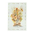 thumbnail image 1 of Cheapark 2 Pack Dried Carnation Flower Greeting Card Pressed Flower Card for Mother's Day Birthday Anniversary Keepsake, 1 of 1