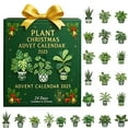 thumbnail image 1 of Cheapark 2025 PLANT CHRISTMAS ADVENT CALENDAR - Festive Greenery-Themed Countdown, Unique Holiday Decor & Gift for Indoor Christmas Home Ambiance, 1 of 8